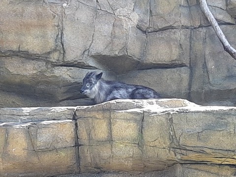a-20230822_115500