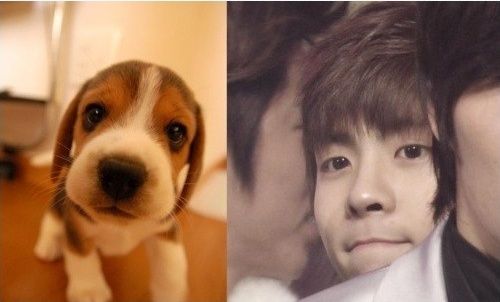 Shinee センイルチュッカヘジョンヒョン チョンサ 笑顔の花