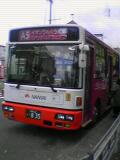 041113-001.jpg