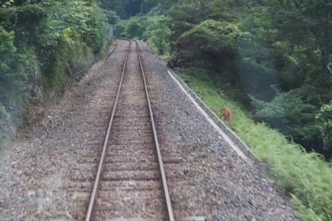 DSC00090_R