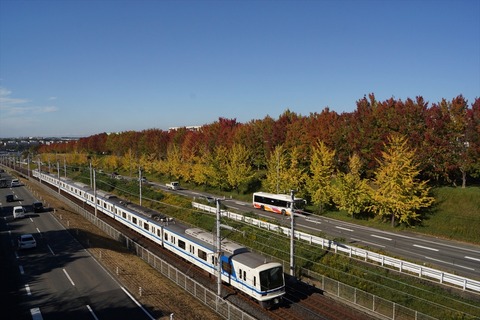 DSC08173_R