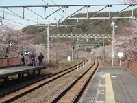 20100330_����̥ۡ���ü