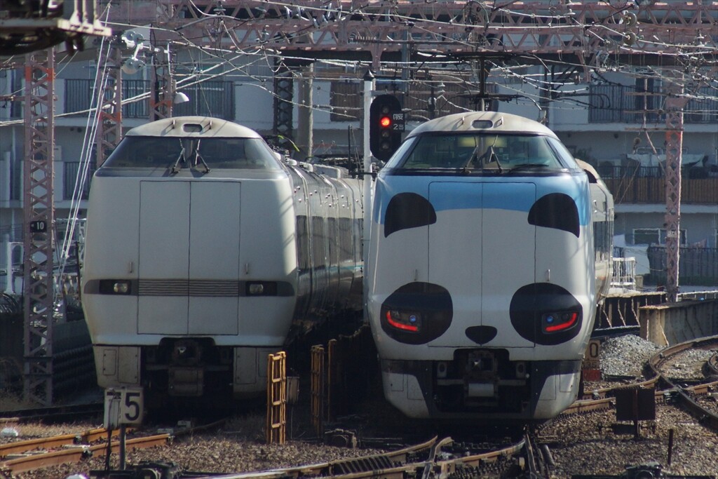 うめきたエリア工事】特急「くろしお」天王寺駅折り返し運転を