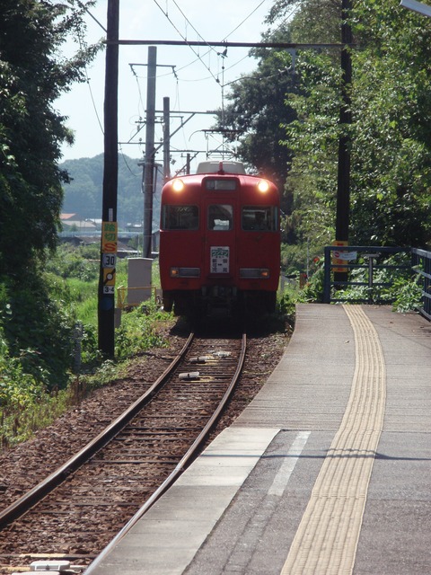 P7201956-2