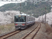 ����̱�_��������_����ϩ��®������̹�