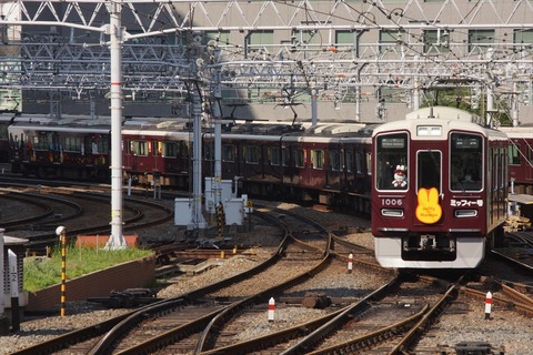 DSC07979 (2)_R
