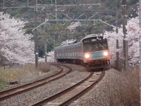 ����̱�_��������_�����²λ��Ԥ�