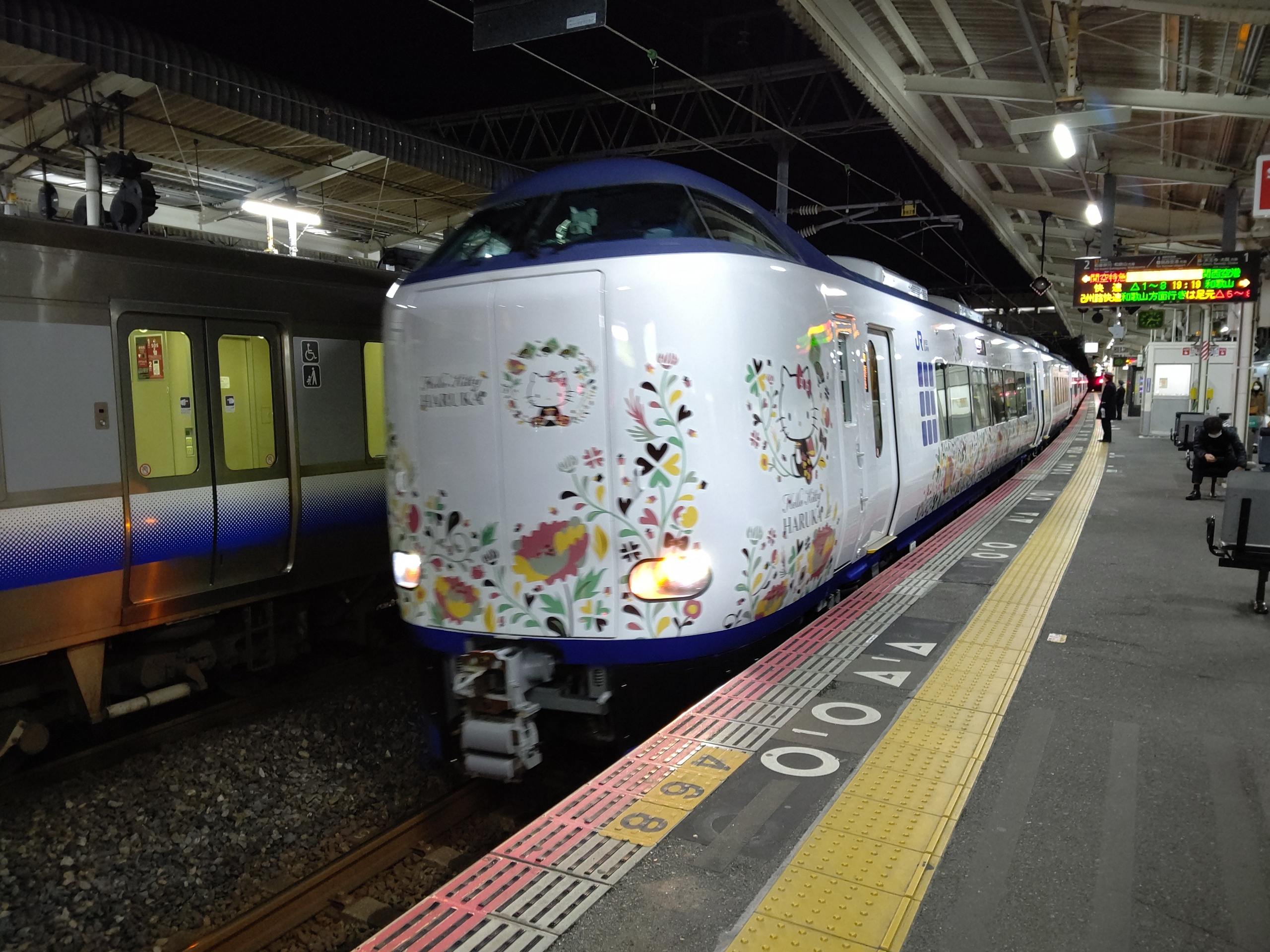 特急 はるか 新型車両271系に乗車する 3 16 阪和線の沿線から