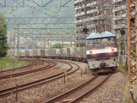 ���ꥵ��ȥ꡼��_EF210��ʪ