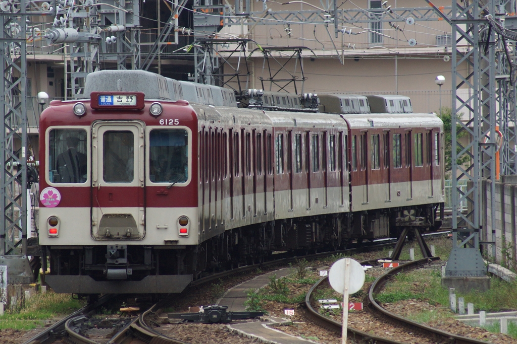 近鉄南大阪・吉野線の臨時快速急行「さくら号」を撮影する（2024.3.31