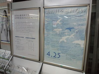 75505eae.jpg