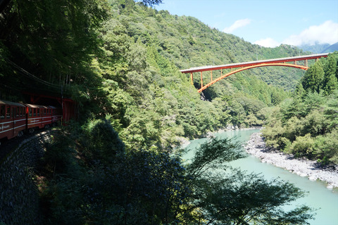 DSC00599_R