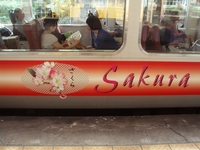 2300系愛称「さくら」