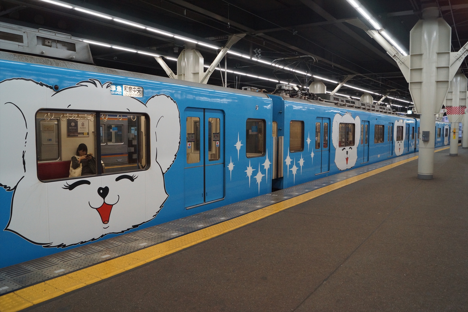 泉北高速鉄道5000系「ハッピーベアル」運行終了直前の様子を記録する