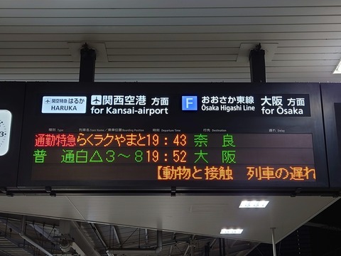 20240501_193800_R