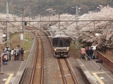 yamanakadani_223