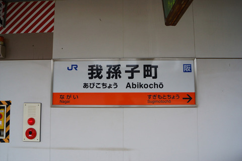 DSC04209_R