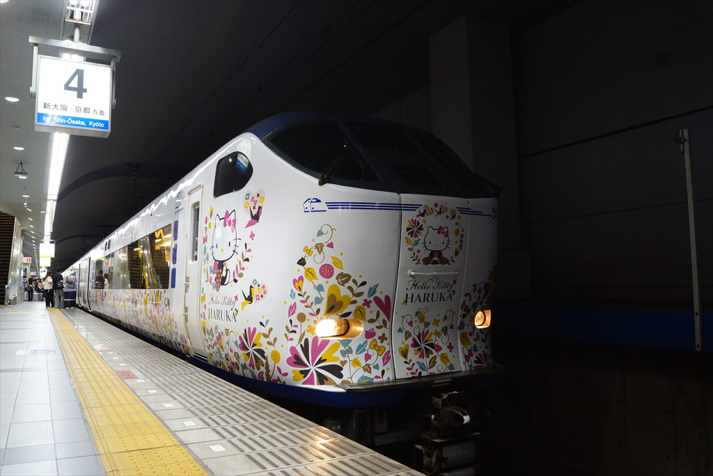 はるか」「ラピート」30週年記念ラッピングをみる（2024.10.19