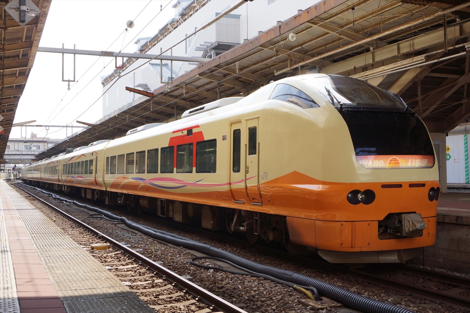 E653系1000番代　いなほ/国鉄特急色 TN化.室内灯装備.高輝度化済 E653系1000番代 いなほ/国鉄特急色 TN化.室内灯装備.高輝度化済