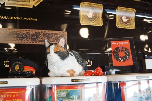DSC06000_R