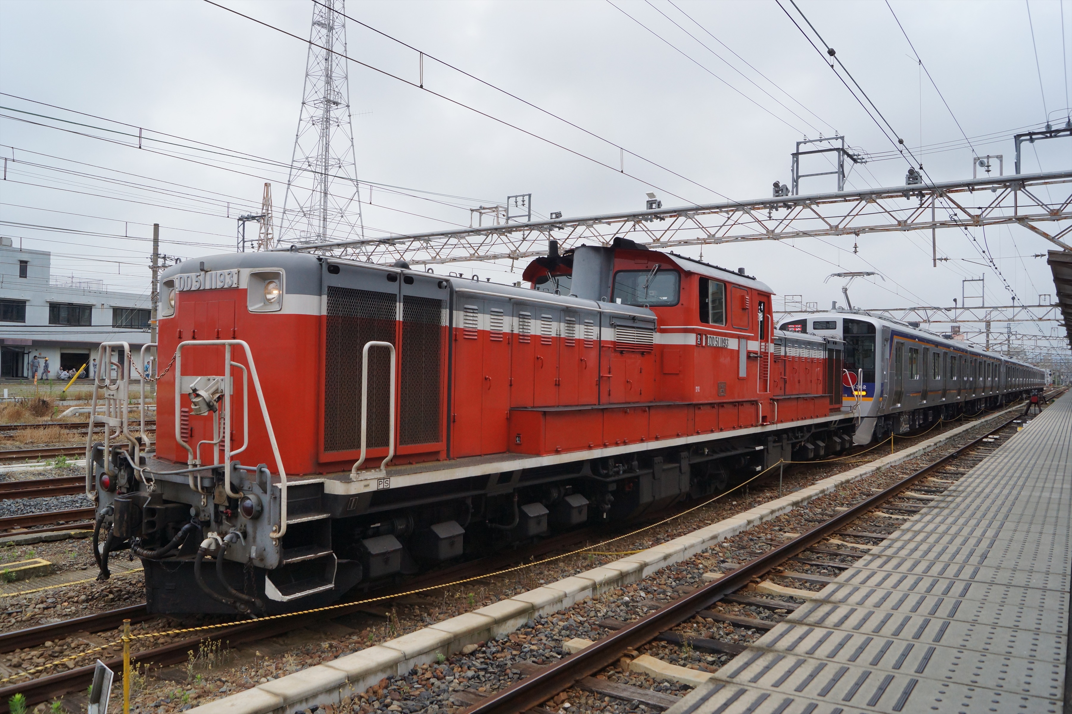 南海8300系の甲種車両輸送を和歌山市駅でみる（2019.6.5） : 阪和線の