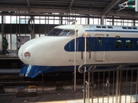 �����ݣ��������������ɥӥ塼