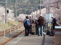 ����̣���������������ŷ������