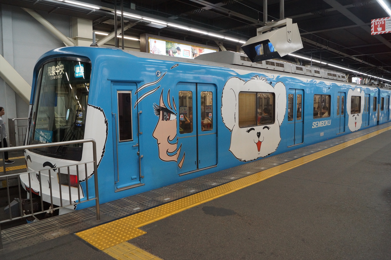 泉北高速鉄道5000系「ハッピーベアル」運行終了直前の様子を記録する