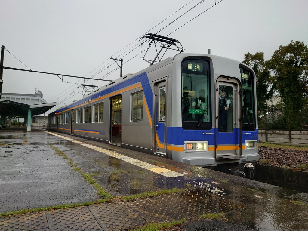 南海】「めでたいでんしゃ」に2000系が初登場（2024.7.13