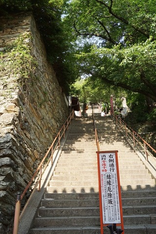 DSC07386_R