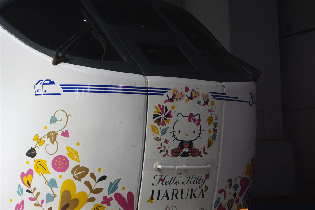 はるか」「ラピート」30週年記念ラッピングをみる（2024.10.19