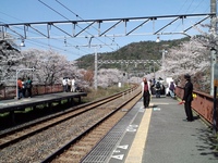 20100404����̱أ�