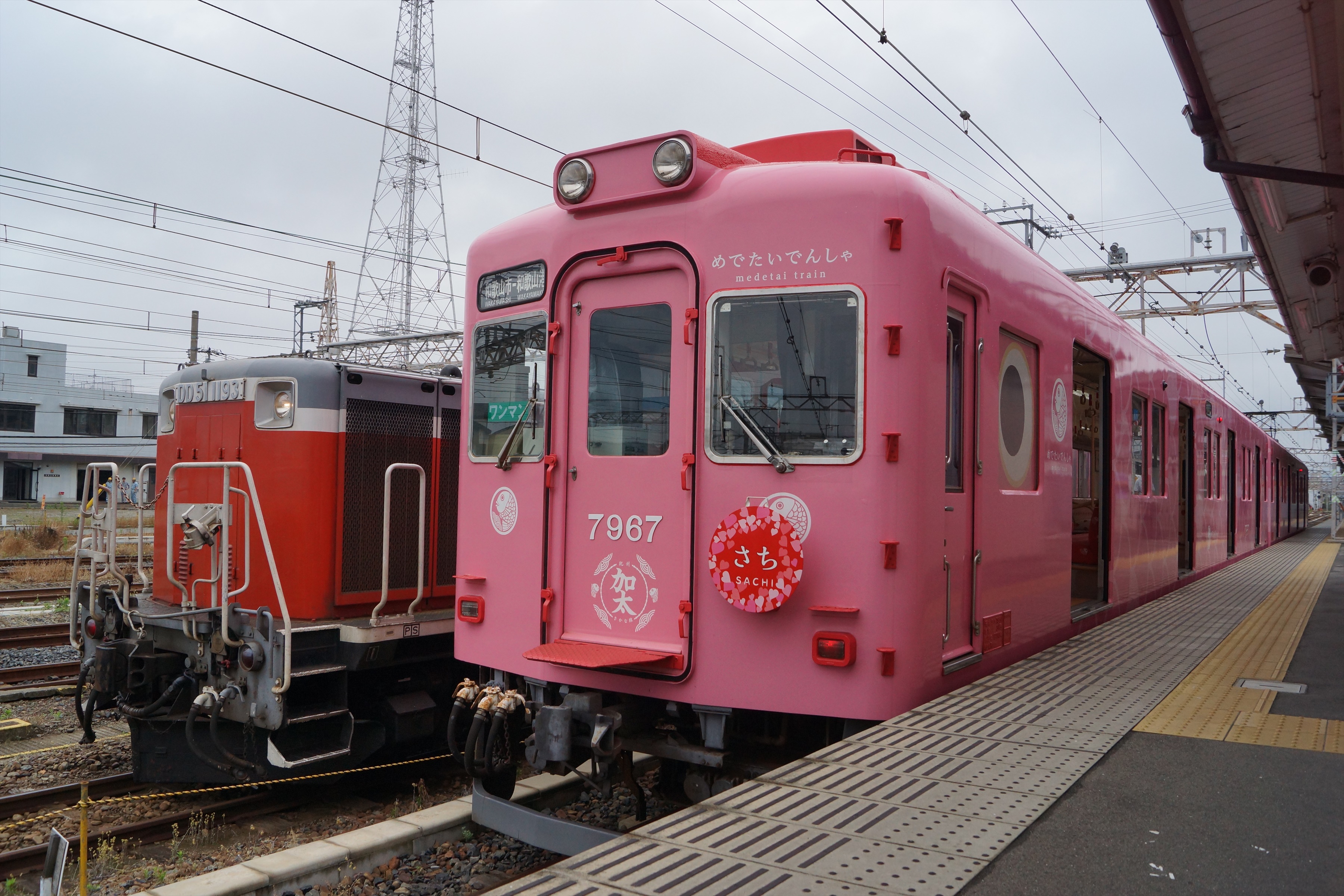 南海00系の甲種車両輸送を和歌山市駅でみる 19 6 5 阪和線の沿線から