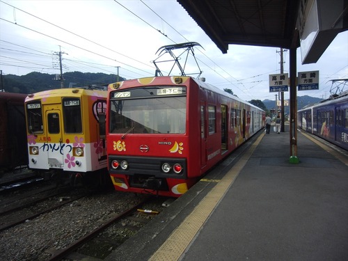 CIMG1354_R