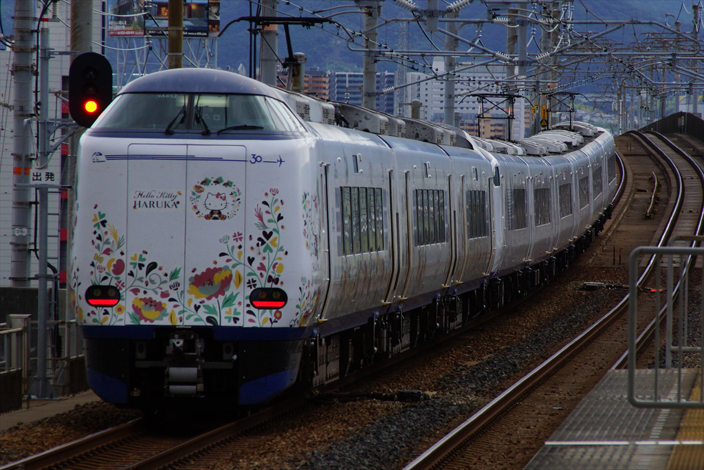 はるか」「ラピート」30週年記念ラッピングをみる（2024.10.19