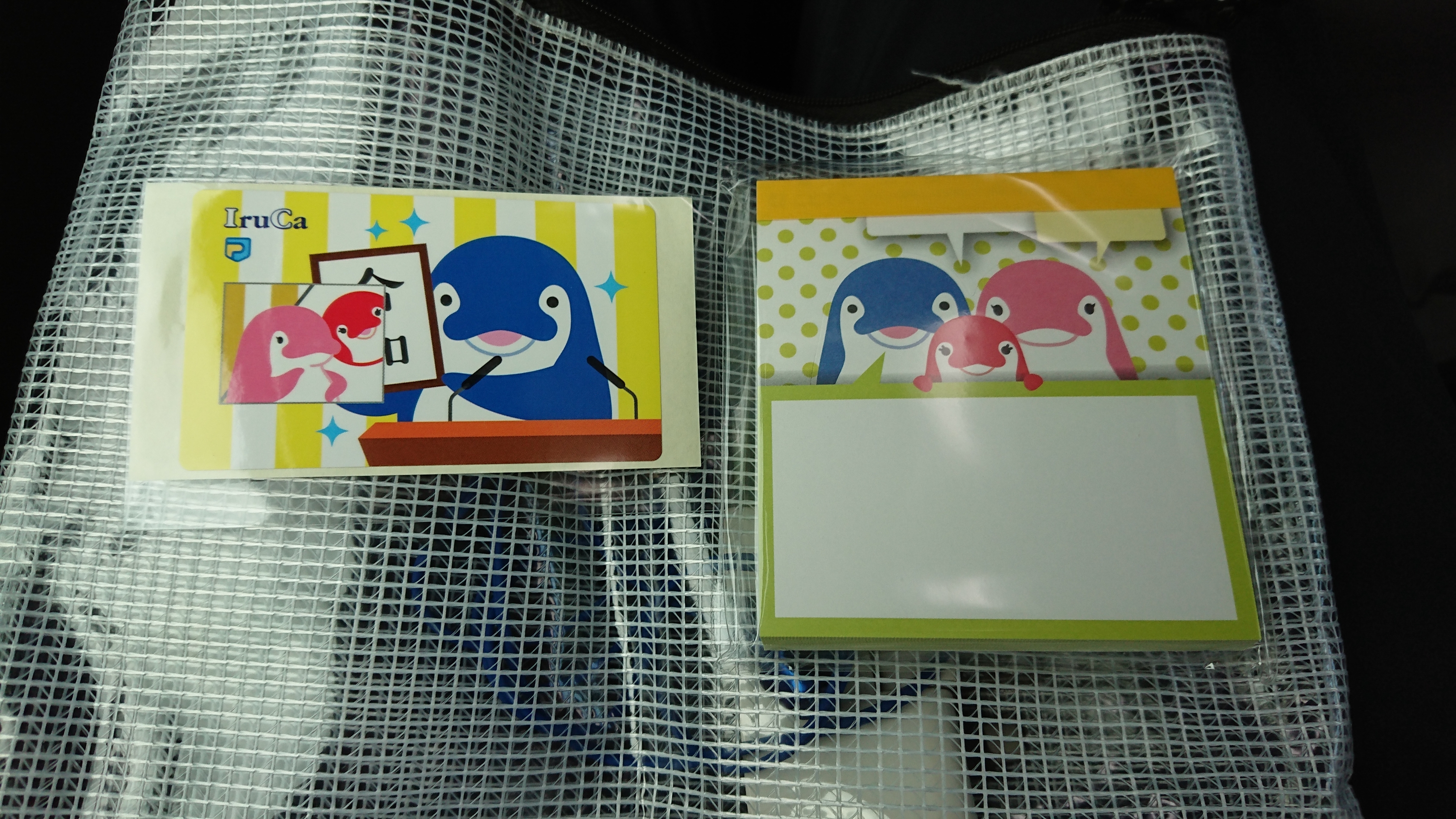 限定品】万博記念ICOCA＋新元号記念IruCa （大阪・関西万博開催