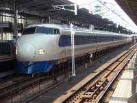 �����ޣ������桡��������ʣ���