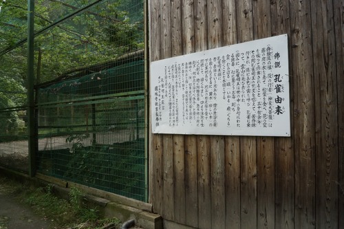 DSC01546_R