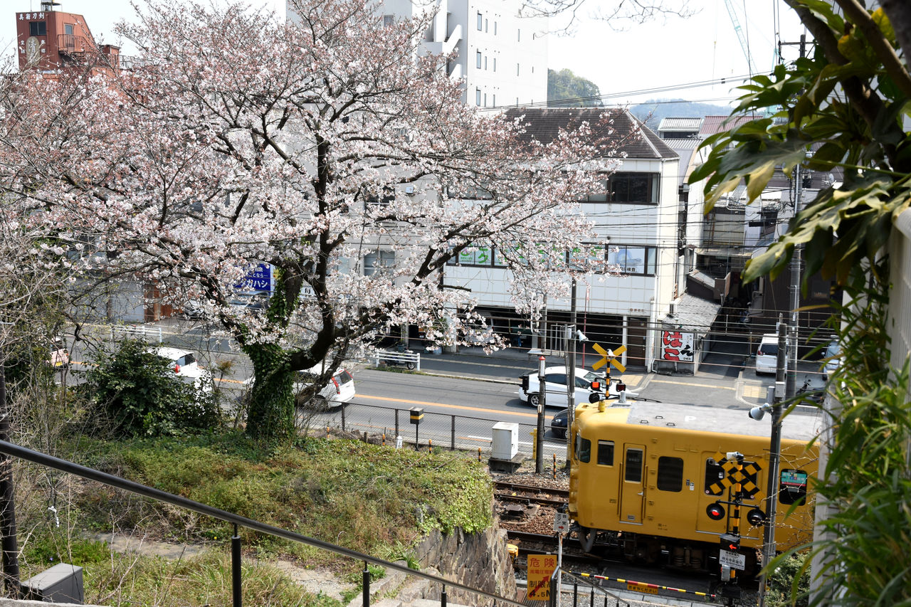 尾道観光 阪和線発の鉄道ブログ