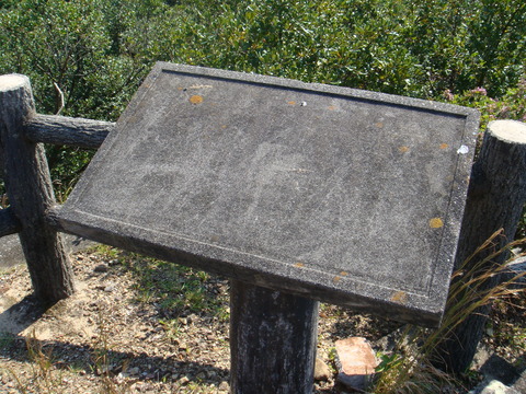 DSC01120