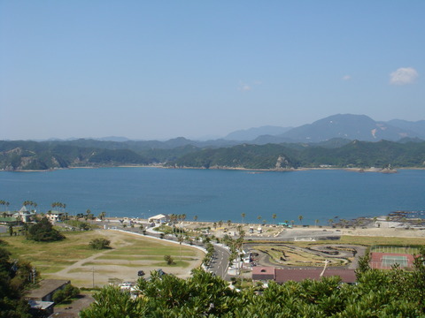 DSC01113