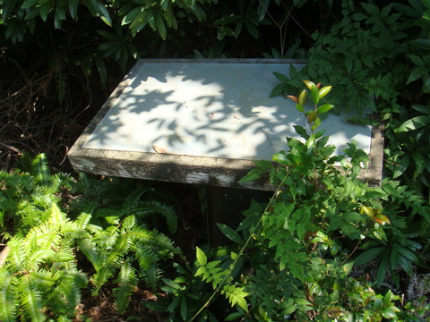 DSC01104