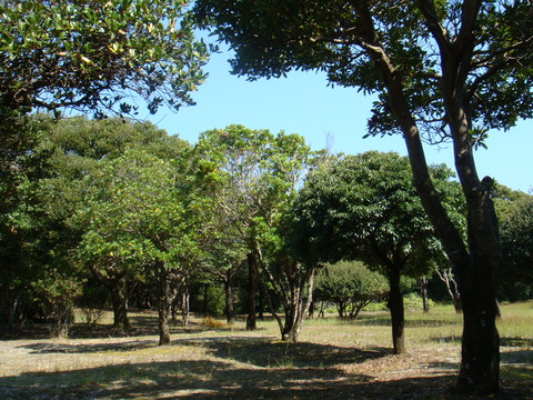 DSC01103