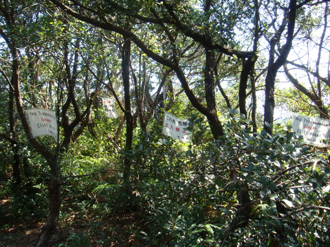 DSC01100