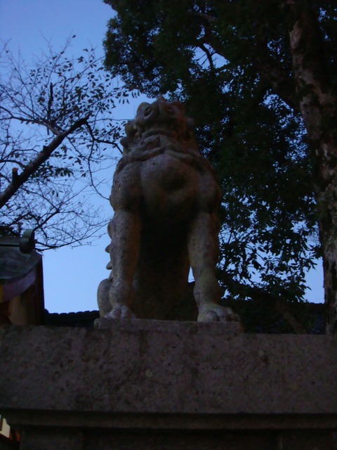 DSC01036