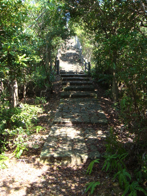 DSC01107