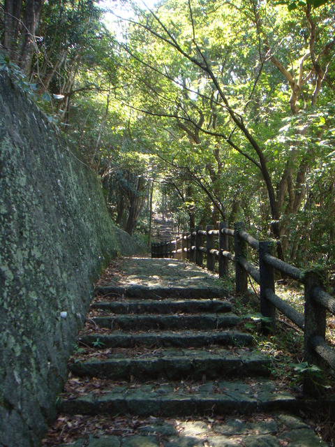DSC01095