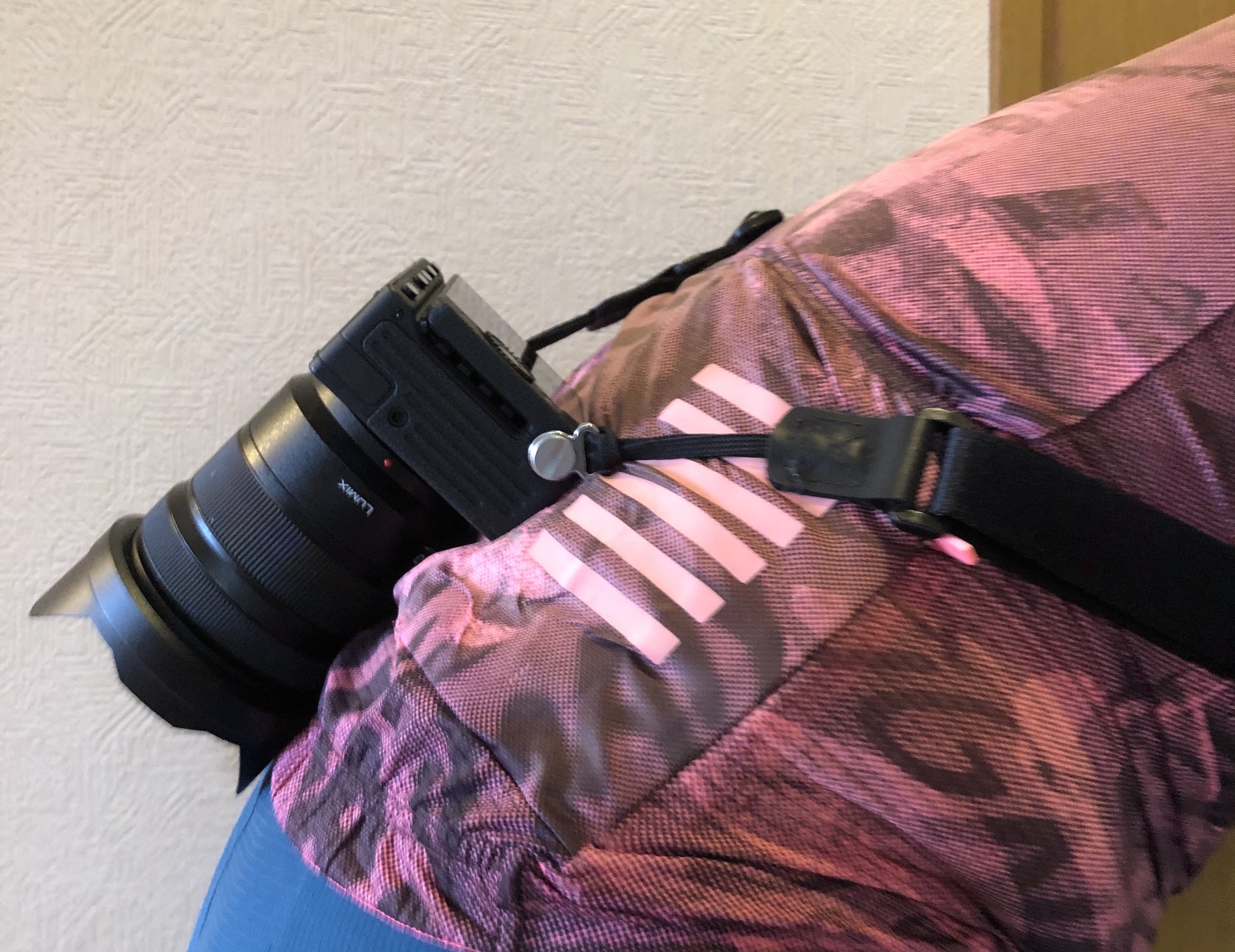 ローディ最強フルサイズカメラ Sigma fp : 輪行の奇行士、HAOの ローディ最強フルサイズカメラ Sigma fp : 輪行の奇行士、HAOの
