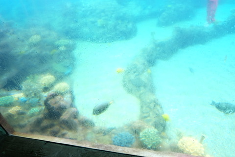 DSCF9366