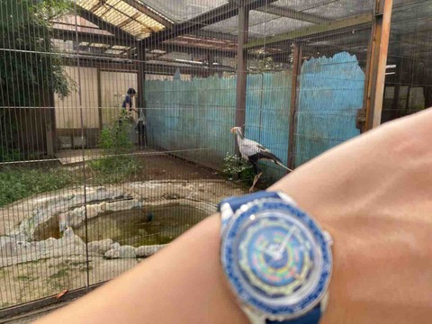 IMG_4278